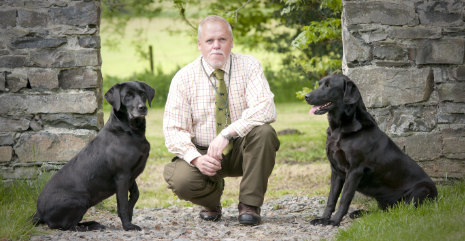 Gun Dog Display